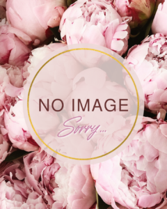 Pink Minimalist Flower Shop Instagram Story